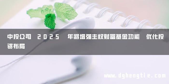 中投公司 2025 年将增强主权财富基金功能 优化投资布局
